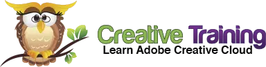 Creative Training Owl Logo